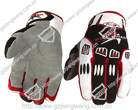 Motorcycle Glove